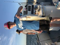 Striped bass caught in Kingston