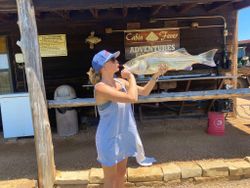 Striped bass caught in Kingston
