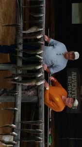 Striped bass caught in Kingston