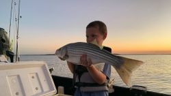 Striped bass caught during fishing trip in Kingston