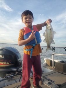 White Bass fish caught in Kingston