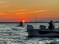 Angler fishing in Scituate