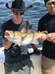 Anglers with a single large fish caught while fishing