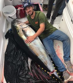 A single Atlantic Bonito fish caught while fishing