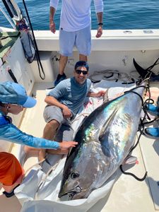 A fisherman catches a 37-inch Atlantic Bonito in MA