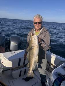 Nice Atlantic Cod on a perfect day at Bulman Marine!