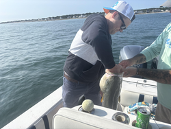 Clear skies promise an epic day of deep sea jigging and trolling!