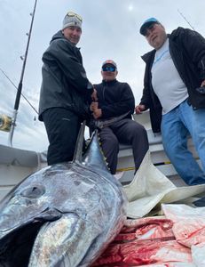 Fishing adventure in MA