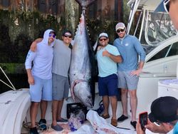 A massive blackfin tuna caught by 4 anglers in MA