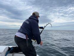 Fishing in MA