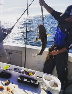 Fishing in MA