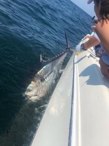 Fishing in MA