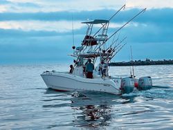 Fishing in MA