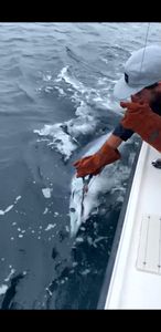 Fishing in MA
