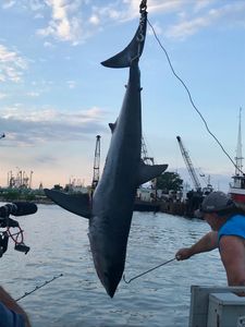 Fishing at the unknown location