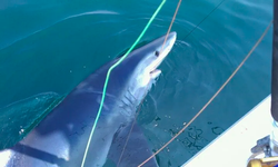 Fishing at unknown location