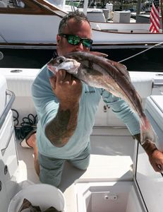 One angler fishing in Scituate