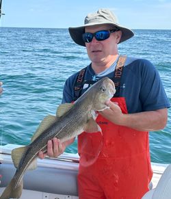 Angler holding a 15-inch fish in Scituate, Massachusetts