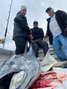 A group of 3 people fishing in Massachusetts