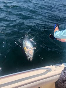 1 fishing trip in MA