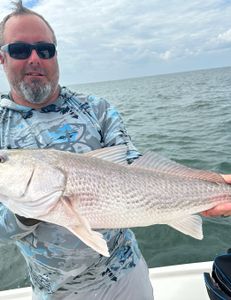 Redfish caught in Scituate, MA