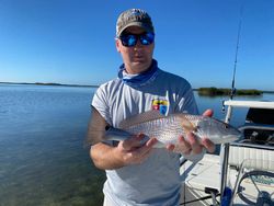 Redfish caught by angler in Scituate