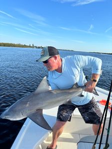 Sandbar shark caught in Scituate