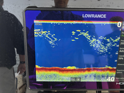 Partly cloudy skies set the stage for epic deep sea adventures off Scituate!