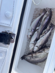 Partly cloudy skies set the stage for an epic fishing adventure in Scituate!