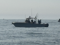 Clear skies and deep sea adventures await in Scituate!