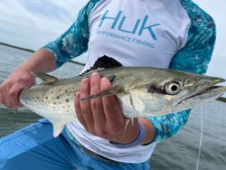 33-inch Spanish Mackerel caught in MA