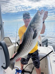 Striped bass caught fishing in MA