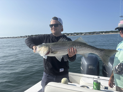Huge 39-inch Striped Bass landed at The Waterfront Club!