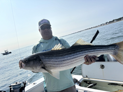 Deep sea action with striped bass at The Waterfront Club!