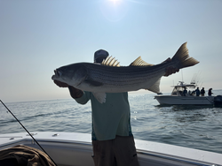 Striped Bass action at Bulman Marine under clear skies!
