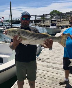 Striped bass fishing