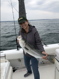 Striped bass caught while fishing