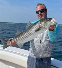 Striped Bass caught while fishing in MA