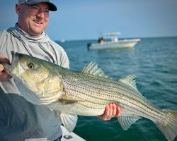 Striped bass caught while fishing in MA