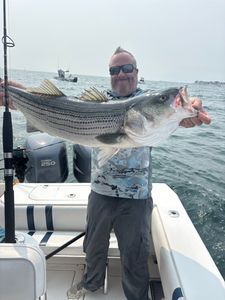 Striped bass fishing in MA