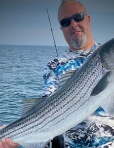 Striped bass fishing in MA