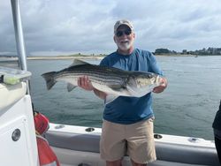 Striped bass caught in MA