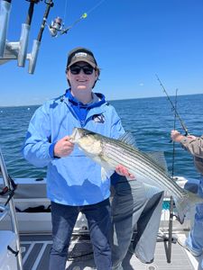 Striped bass caught in Scituate