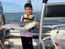 Striped bass caught in Scituate