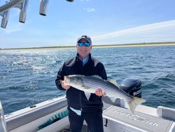 A striped bass, measuring 27 inches, caught in Scituate