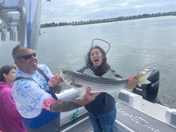 A striped bass caught by two people in Scituate