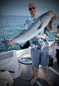 Striped bass caught in Scituate