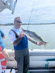Striped bass caught in Scituate