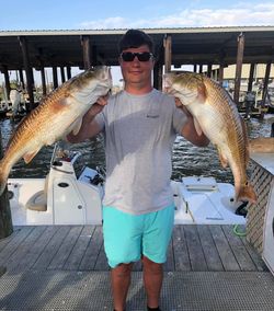 hooked Largemouth Bass from New Orleans, LA