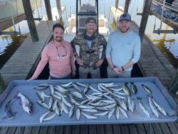 Trophy fish await in NOLA!